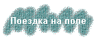 Поездка на поле